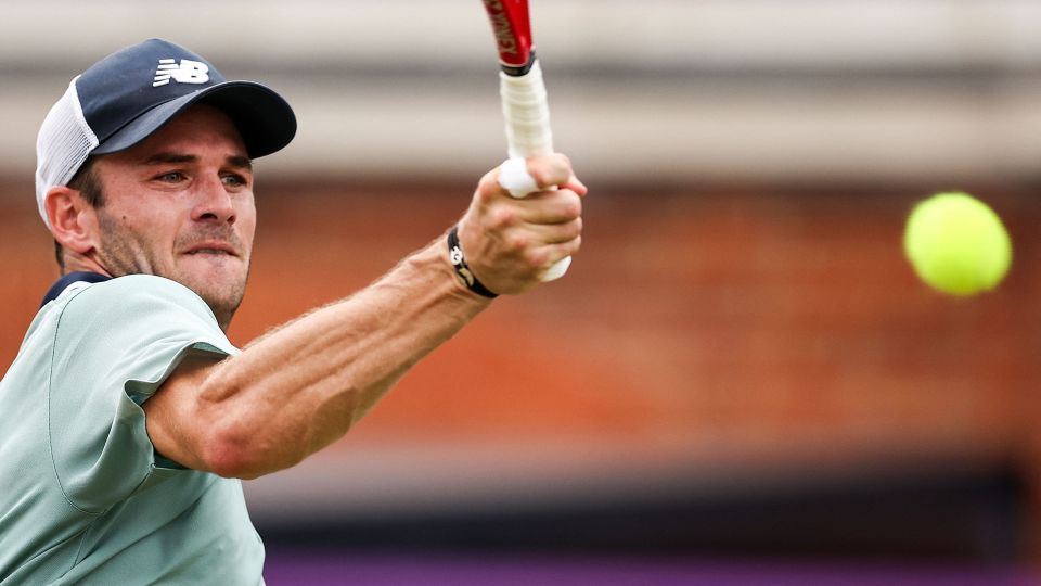 国内外观众 国内外观众