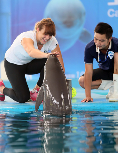 快速传球 快速传球