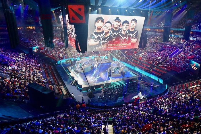 场组织的核 场组织的核